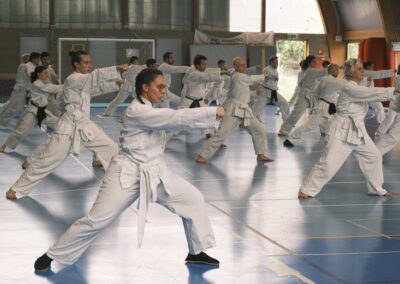 Foto dei praticanti in dimostrazione che fanno un pugno nel kung li chuan Dalla A.S.D. meihua che pratica Kung-fu Chang del M°Chang Dsu Yao. Grazie a un team nutrito di maestri e istruttori offre corsi e eventi di kung-fu tai chi shaolin e chi kung