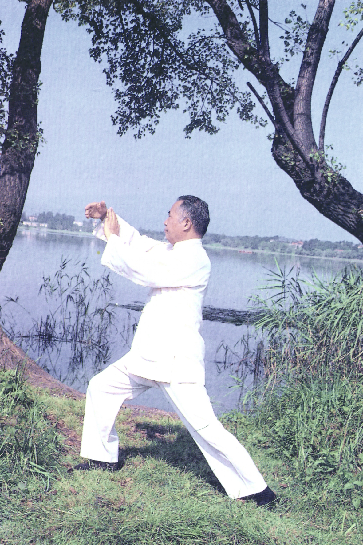 Foto del maestro Chang Dsu Yao che fa peng nel tai chi chuan stile yang Dalla A.S.D. meihua che pratica Kung-fu Chang del M°Chang Dsu Yao